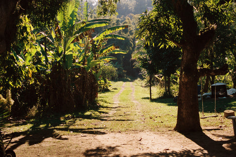 O Jardim