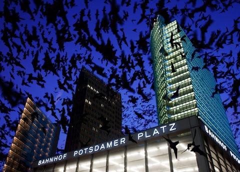 Batcity Berlin