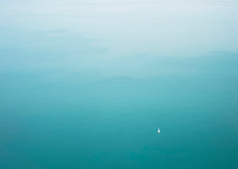 Vela
