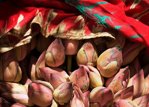 Banana Flowers