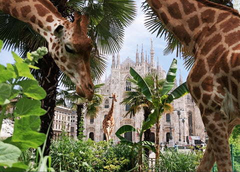 Il Duomo di Milano
