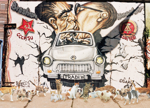 Druck - Katzenkolonie an der Berliner Mauer